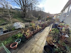 Photo 13- click for photo gallery